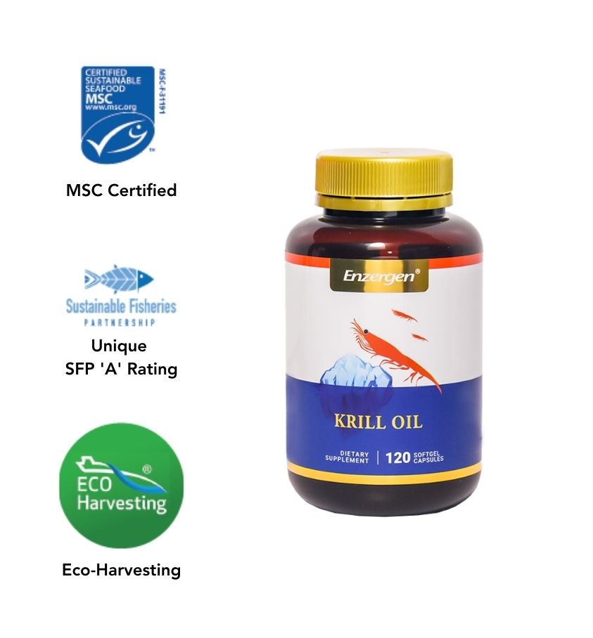 Product image of Krill Oil from KiwiCorp – omega-3 supplement for heart, brain, and joint support.
