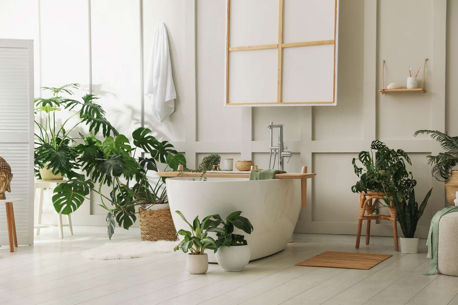 The Best Indoor Plants for your Bathroom | Kiwicorp New Zealand