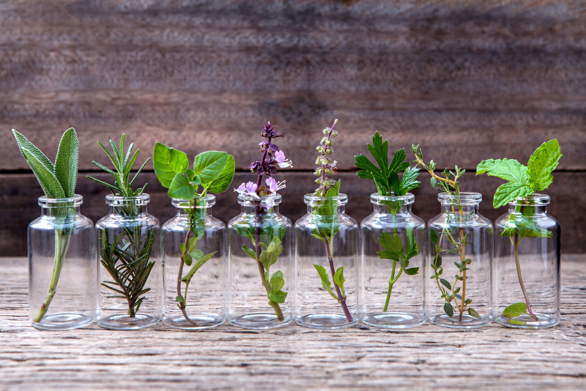 5 Must-Have Essential Oils which Aromatherapy expert chose when Traveling