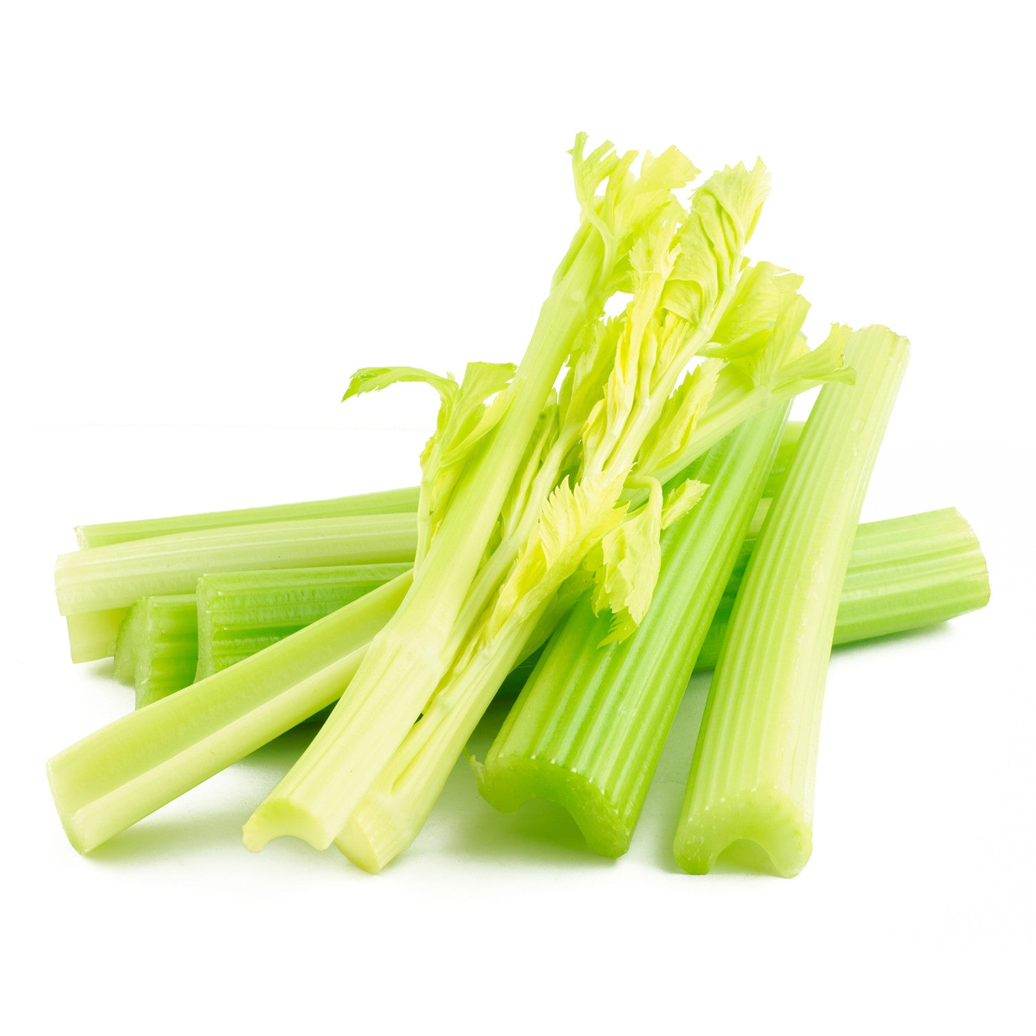 GET TO KNOW MORE ABOUT “CELERY”