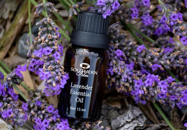 Lavender Essential Oil | Kiwicorp | New Zealand