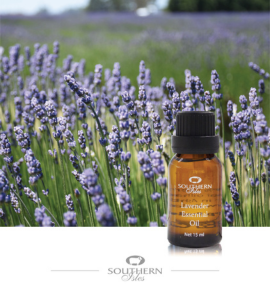 Lavender Essential Oil