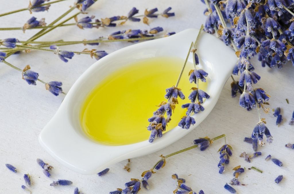 Lavender Essential Oil - KiwiCorp