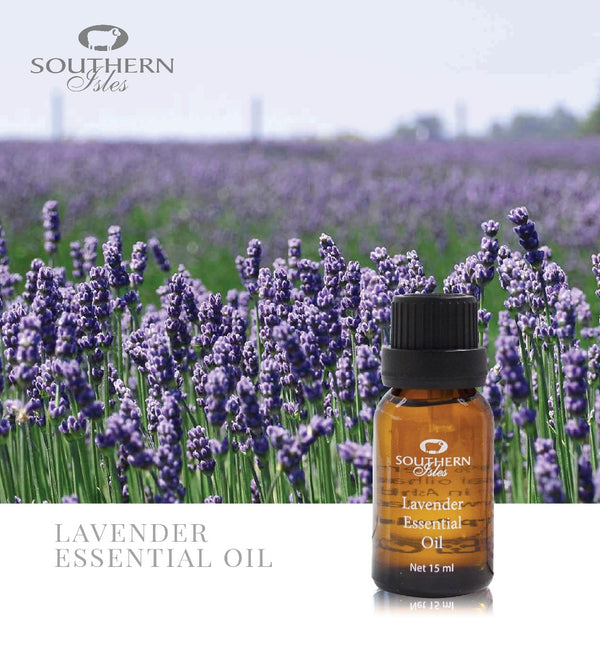 Lavender Essential Oil - KiwiCorp
