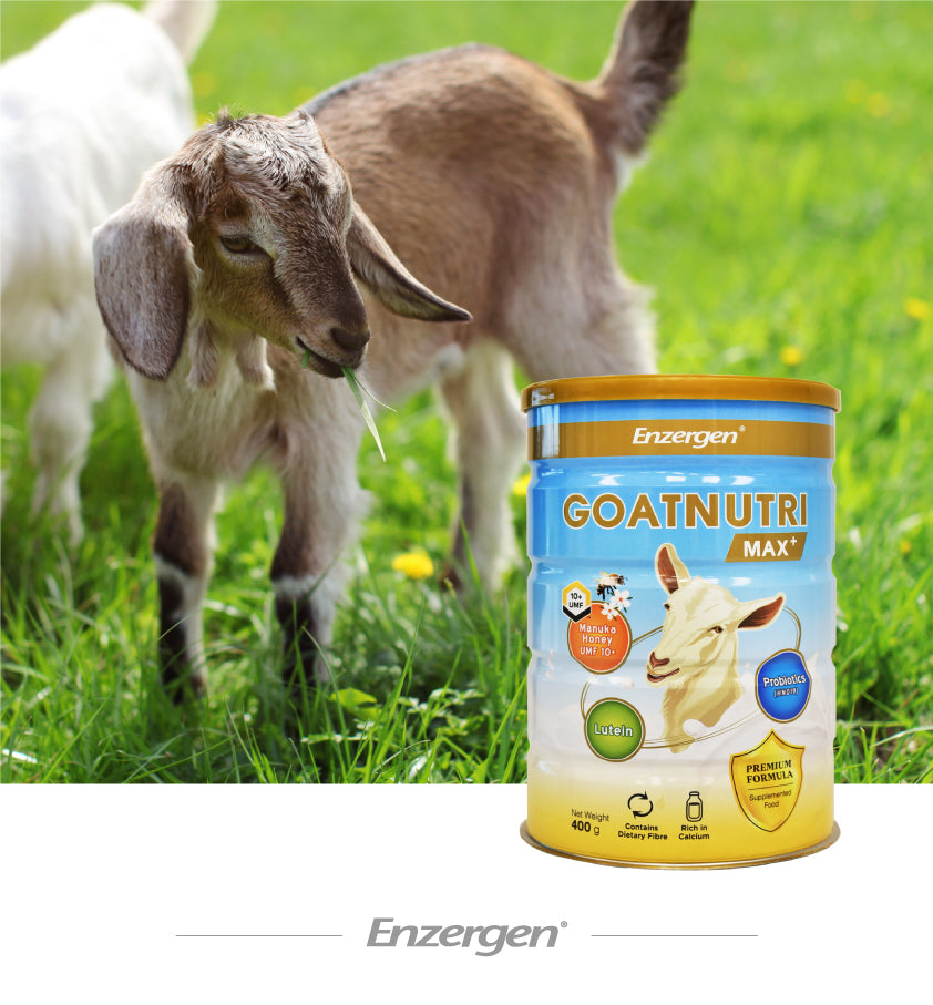 Goatnutri MAX+ Goat Milk Powder 400g with Manuka Honey, Probiotics, Lutein